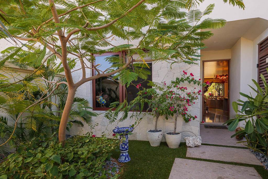 A House With A Tree And Plants